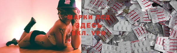 сатива Магас