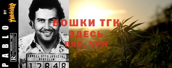 сатива Магас