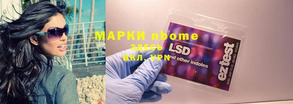 сатива Магас