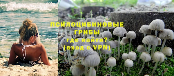 сатива Магадан