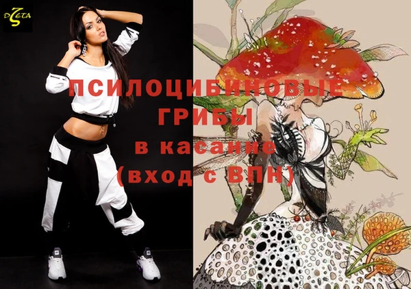дживик Медвежьегорск