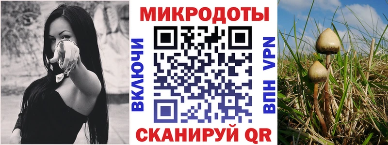 купить   mega сайт  Галлюциногенные грибы ЛСД  Нефтеюганск 