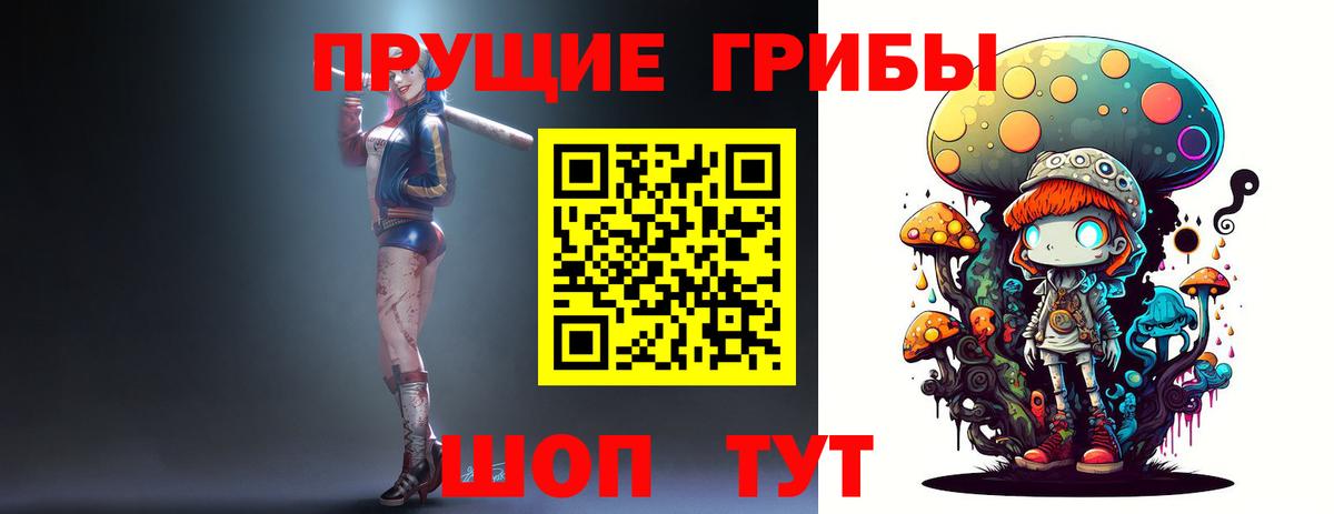 Псилоцибиновые грибы Psilocybe Нефтеюганск